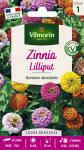 Fleurs - Zinnia Nain Lilliput - face recto